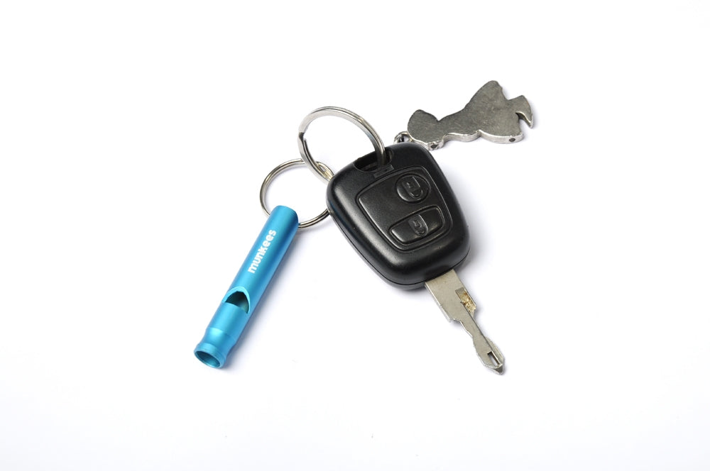 Detailansicht der kleinen Aluminiumpfeife mit Schlüsselring und Karabiner